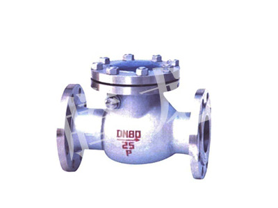 National standard swing check valve