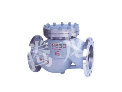 National standard lift type check valve